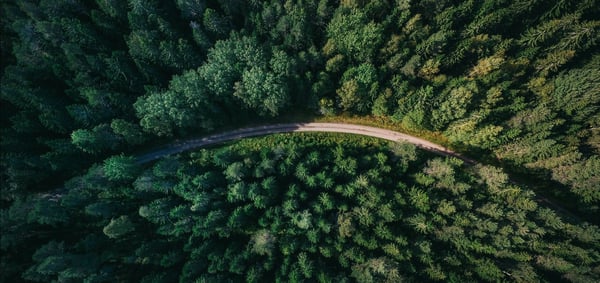 Nytt förslag till naturrestaureringsplan – oklarheter kvarstår