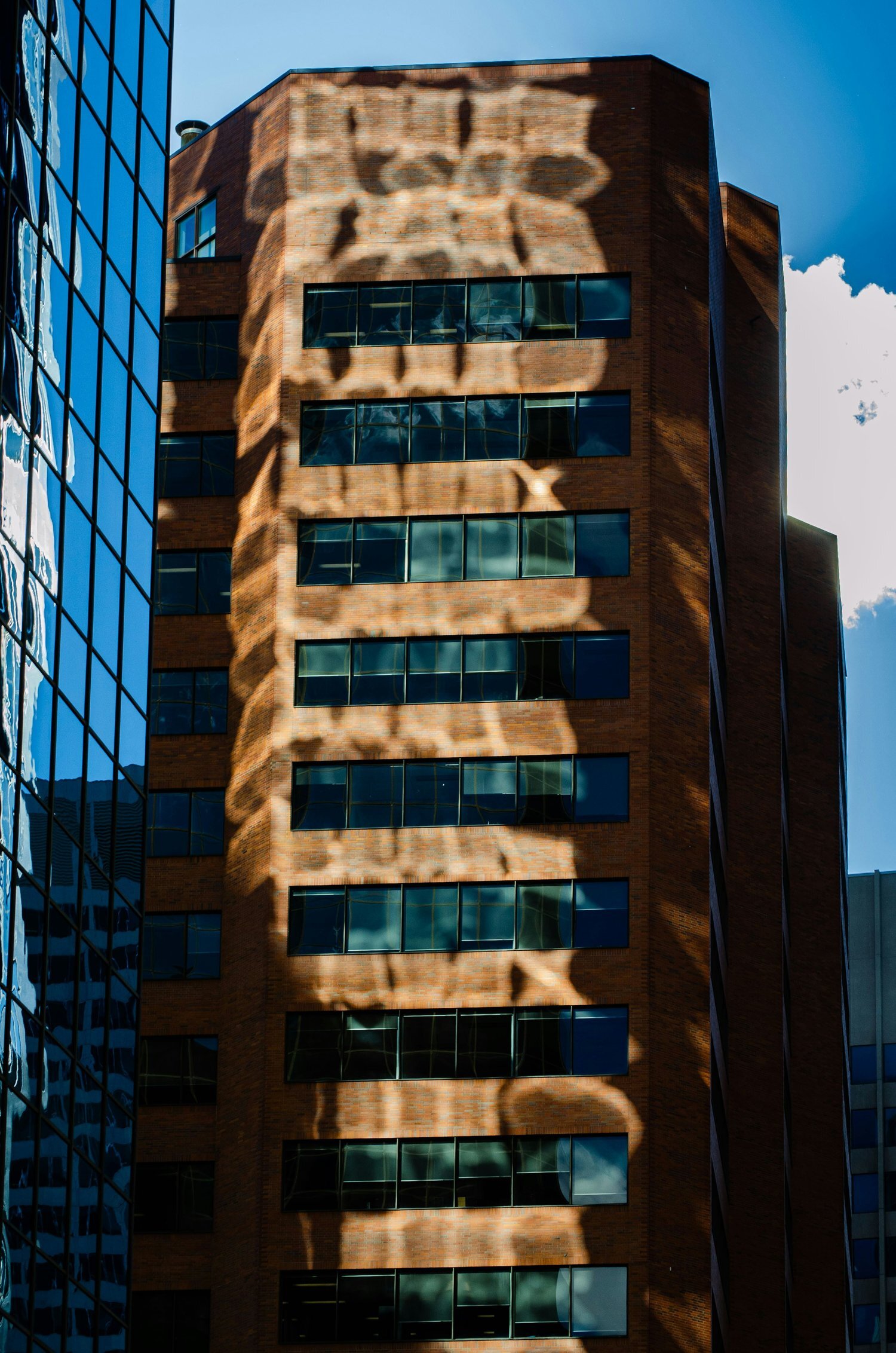 <span id="hs_cos_wrapper_name" class="hs_cos_wrapper hs_cos_wrapper_meta_field hs_cos_wrapper_type_text" style="" data-hs-cos-general-type="meta_field" data-hs-cos-type="text" >Foyen biträder när Active Fastighet avyttrar 8.500 kvm lokalarea och 31.000 kvm mark</span>