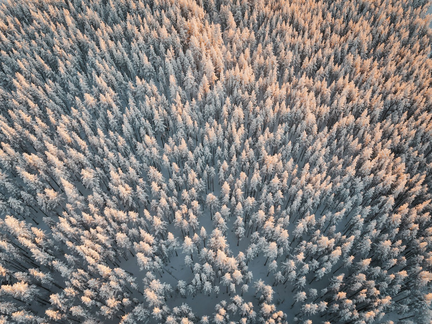 <span id="hs_cos_wrapper_name" class="hs_cos_wrapper hs_cos_wrapper_meta_field hs_cos_wrapper_type_text" style="" data-hs-cos-general-type="meta_field" data-hs-cos-type="text" >Lagförslag kan ge fastighetsägare rätt till ersättning vid artskyddsingripanden</span>