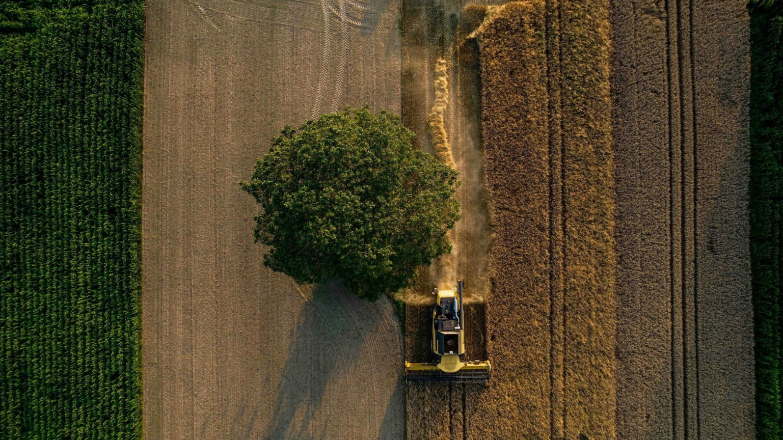 <span id="hs_cos_wrapper_name" class="hs_cos_wrapper hs_cos_wrapper_meta_field hs_cos_wrapper_type_text" style="" data-hs-cos-general-type="meta_field" data-hs-cos-type="text" >Fler avgöranden att vänta i detaljplanemål? Miljöorganisation med syfte att skydda jordbruksmark får klagorätt av HD</span>