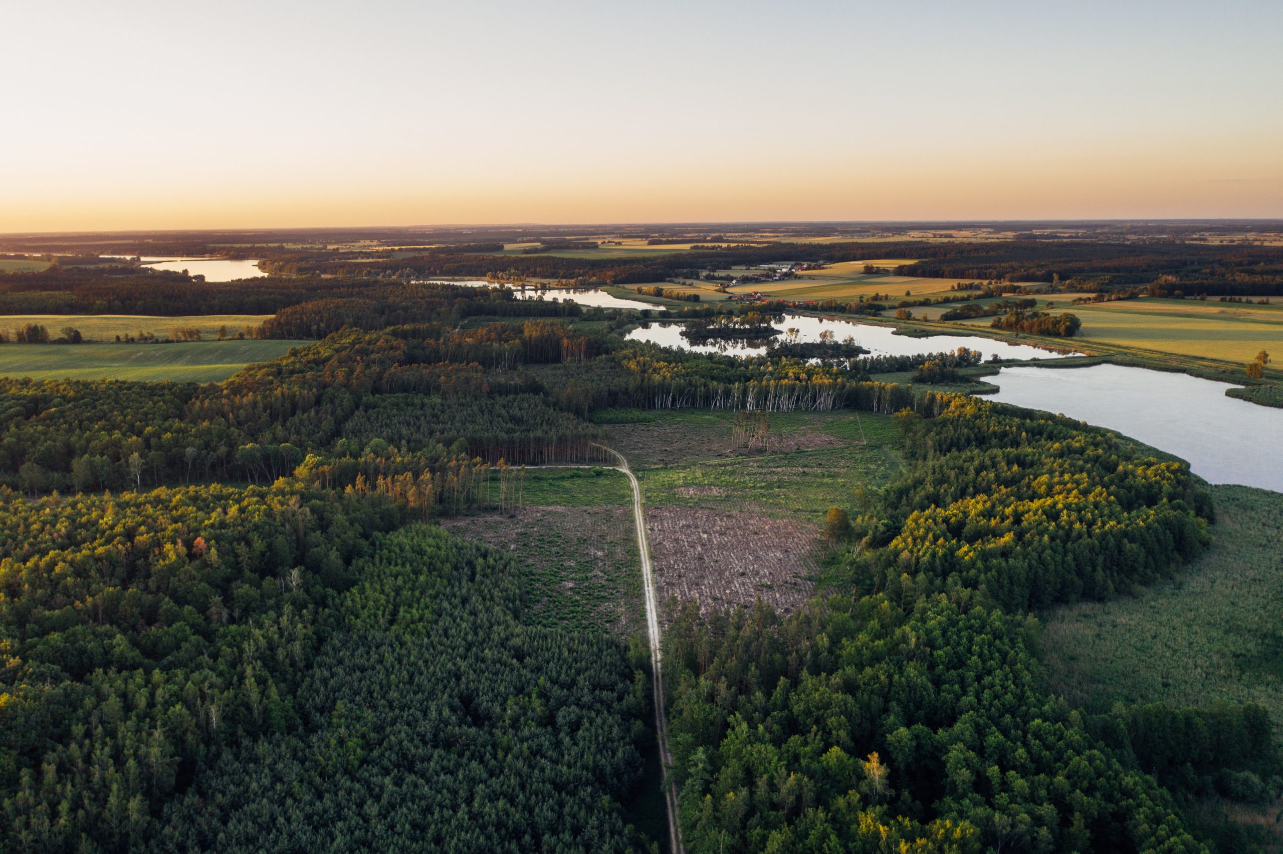 Vy över sjö och natur med strand