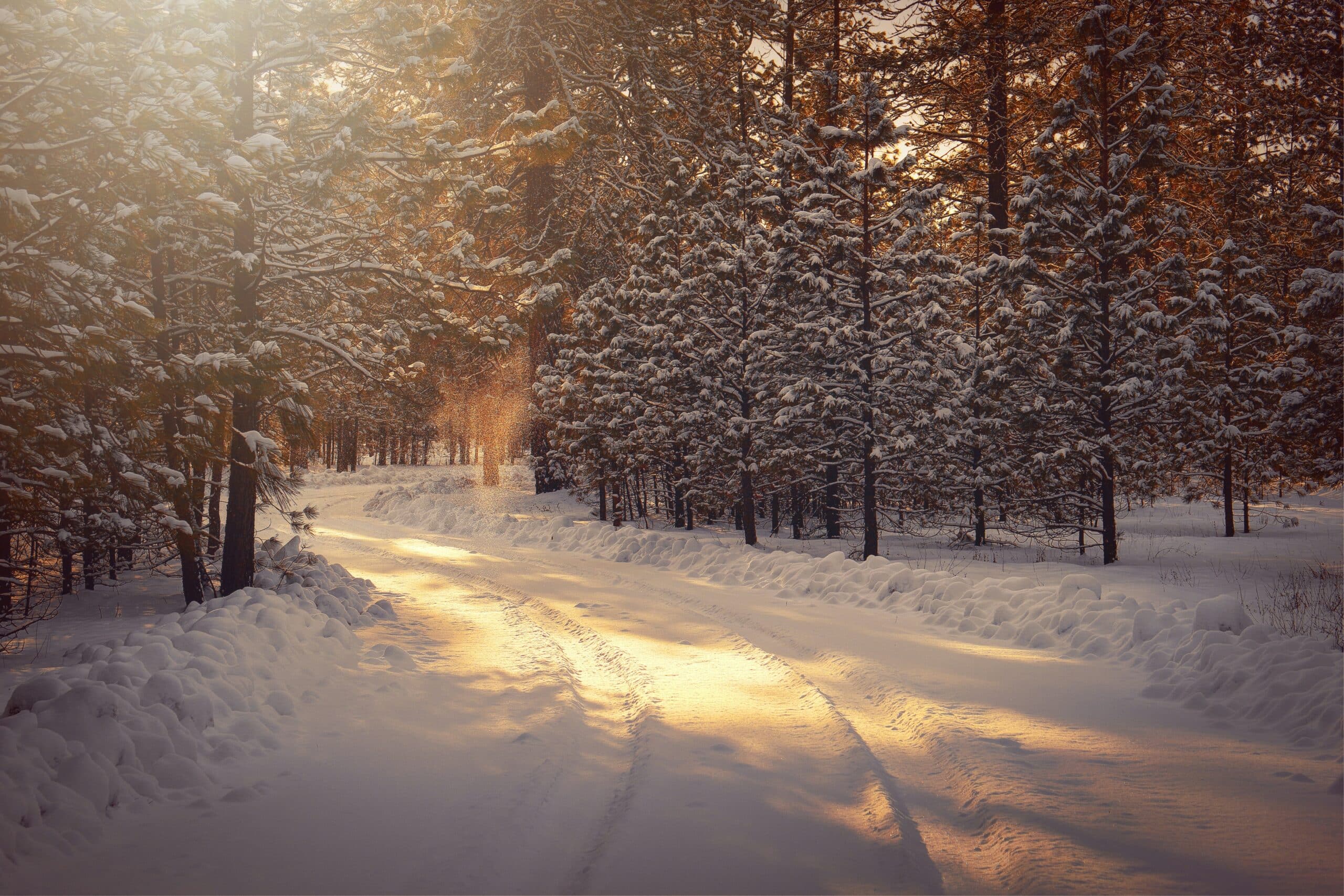 Snöigt vinterlandskap där solen tittar fram
